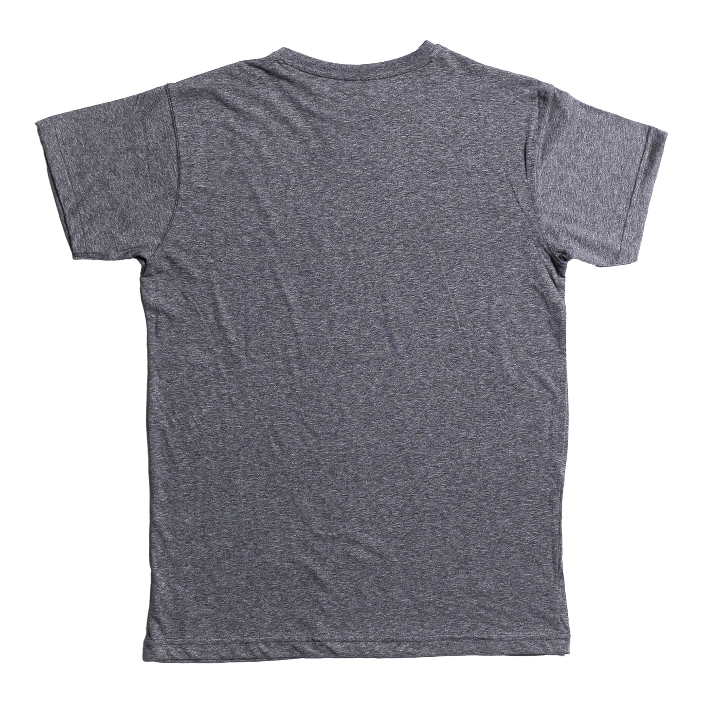 Studio Tour - TShirt - Grey